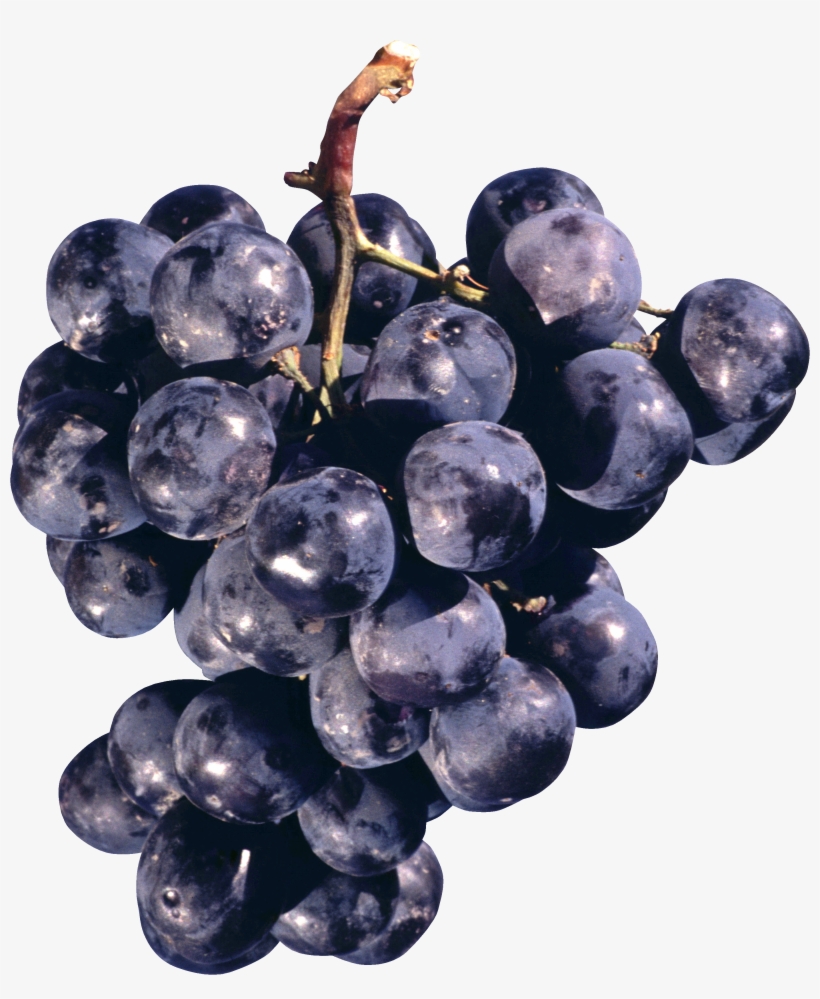 Grape Png Image - Concord Grapes Png, transparent png