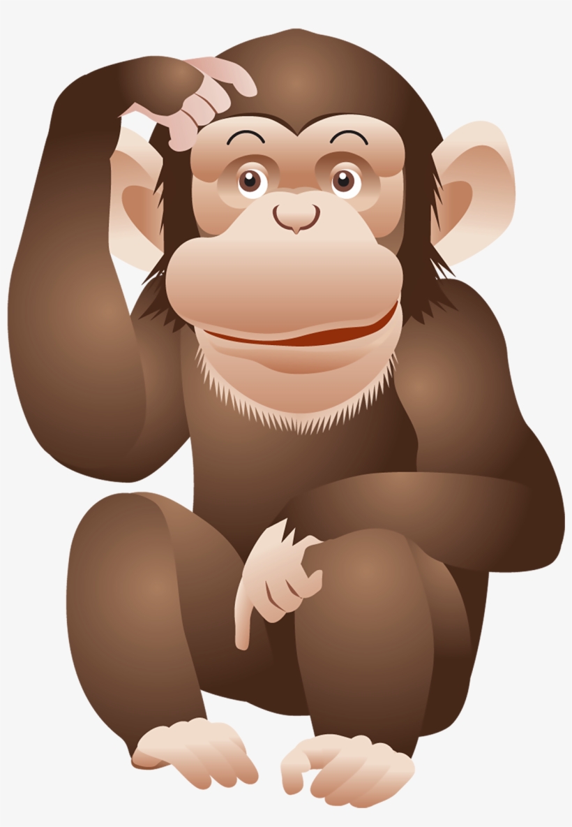 Monkey Png, transparent png
