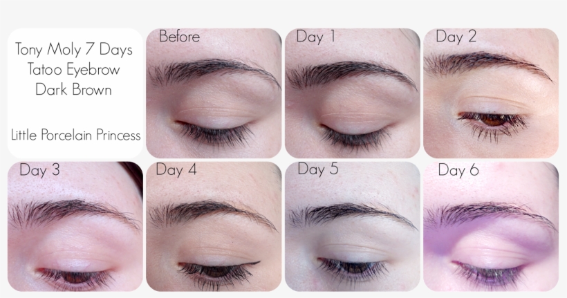 The Tip Is Very Fine, Allowing Me To Create Small Single - Eyebrow Tattoo After 3 Days, transparent png