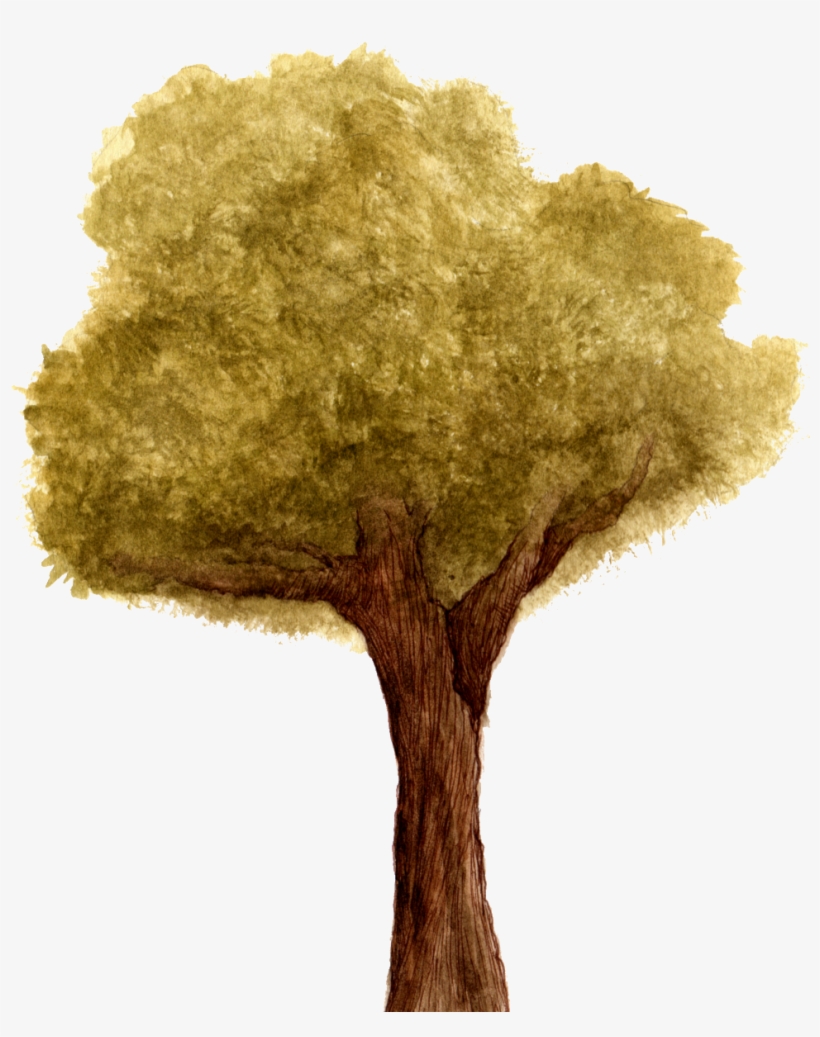 Back The Kickstarter Campaign Here - Photograph, transparent png