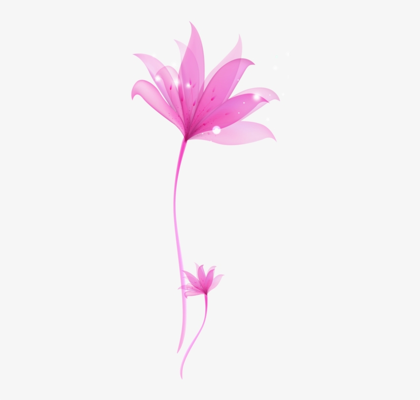Flower Png Purple, transparent png