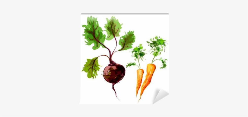 Set Of Vector Watercolor Vegetables - Vegetable, transparent png