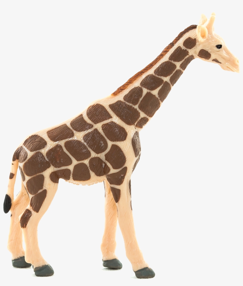 Download Png Image Report, transparent png