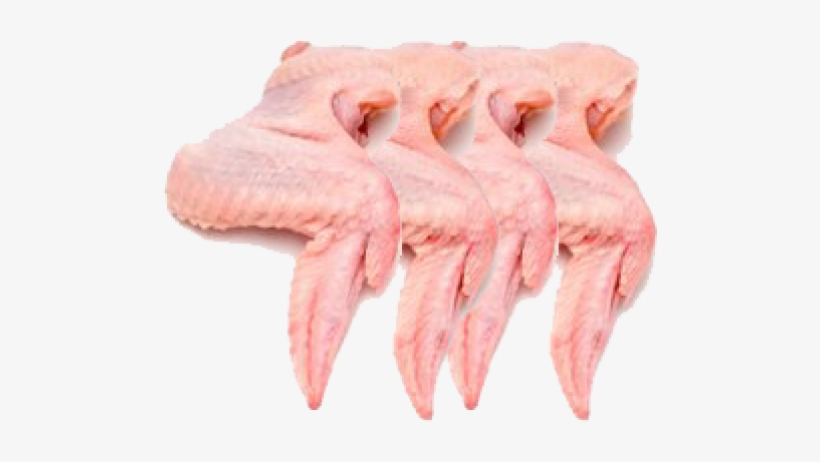 Chicken, transparent png