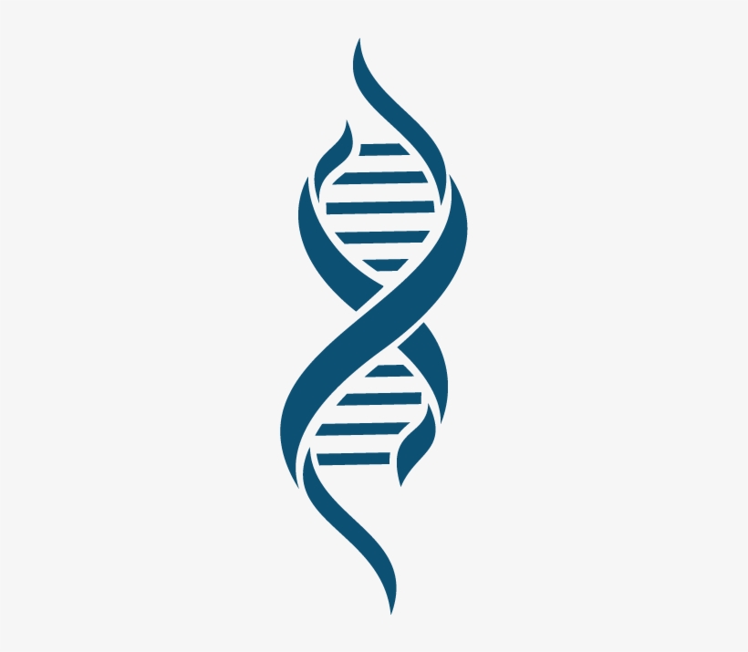 Dna Transparent Images Png - Dna Png, transparent png