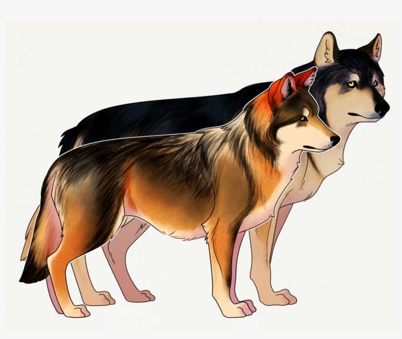 Wolf, transparent png