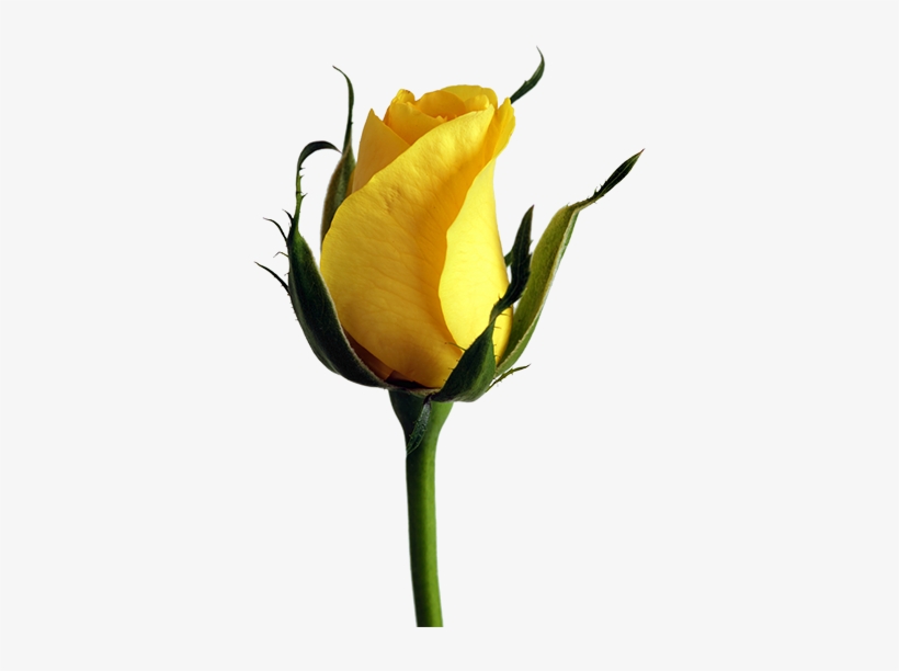 This Example Finds All Transparent Pixels In A Png - Life Is A One Time Offer Use, transparent png