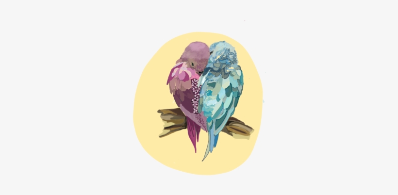 Birds 4 Mhoe - Lovebird, transparent png
