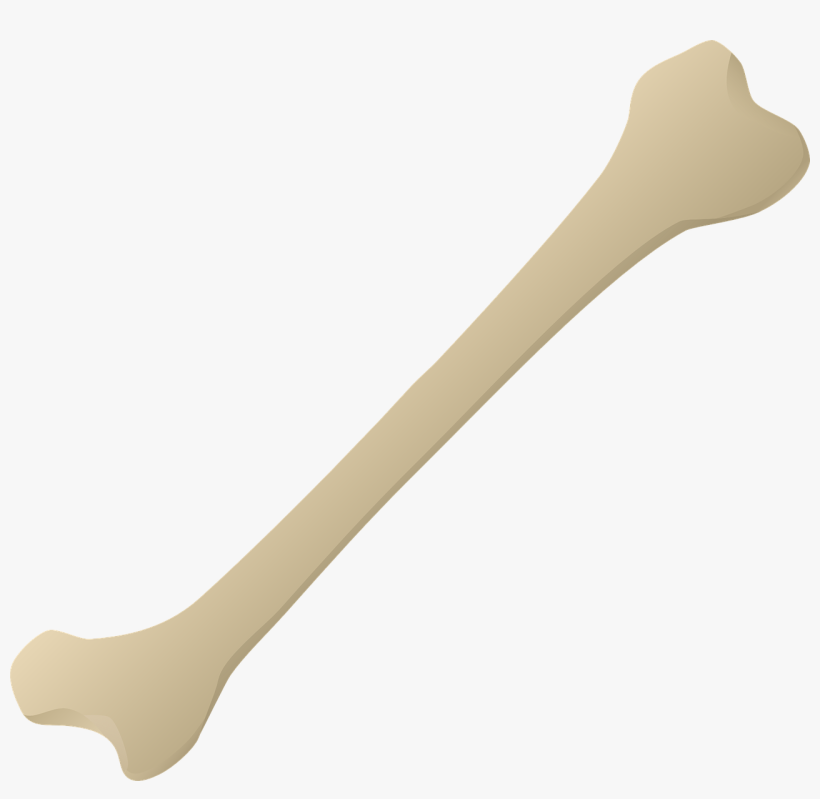 Wooden Dessert Spoon, transparent png