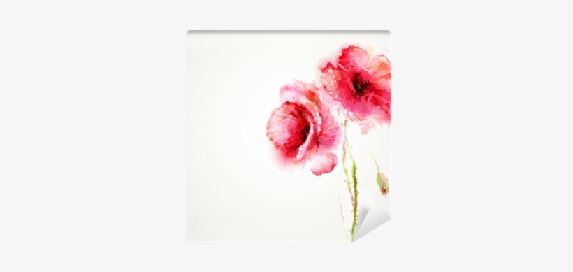 The Two Flowering Red Poppies - Art Print: Braun Studio's Aquarelle 3, 30x30cm., transparent png