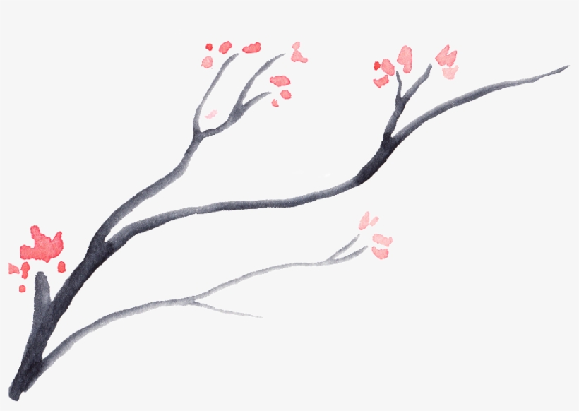 This Graphics Is Dead Wood Bloom Flower Transparent - Flower, transparent png