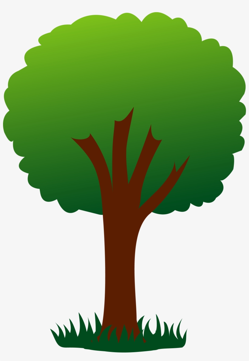 Tree - Tree Clip Art, transparent png
