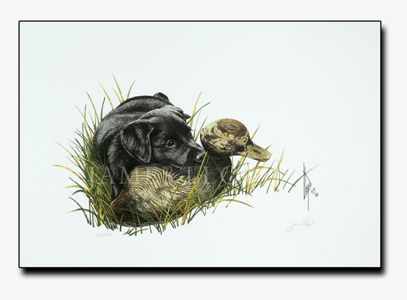 Watercolor Painting, transparent png