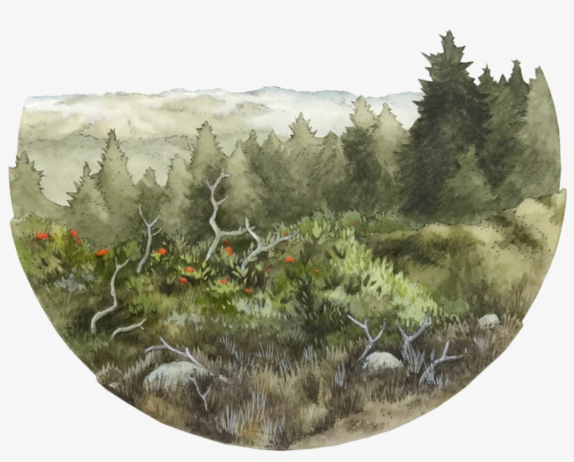 Mount Tamalpais, Ca, transparent png