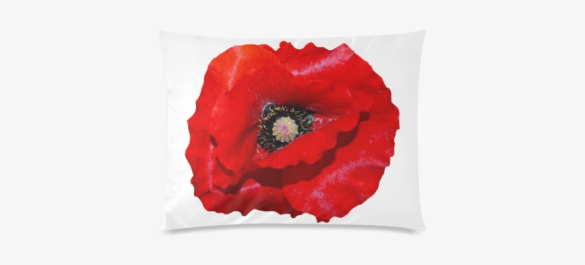 Poppy Flower Custom Zippered Pillow Cases 20"x26" - Silver Plated 18" Chain And Pendant Necklace, transparent png