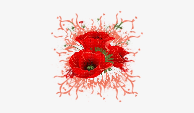Coquelicot Deco Poppy Flower - Oriental Poppy, transparent png