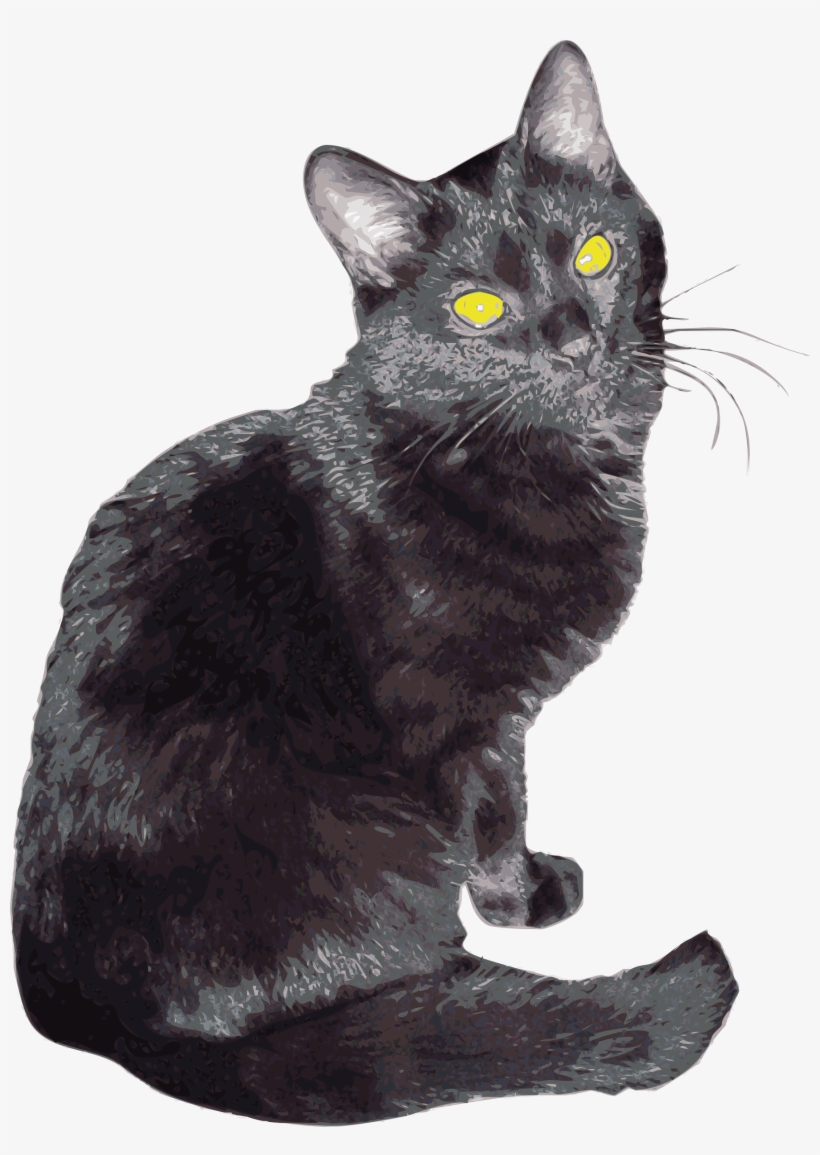 Sherlock Png, transparent png