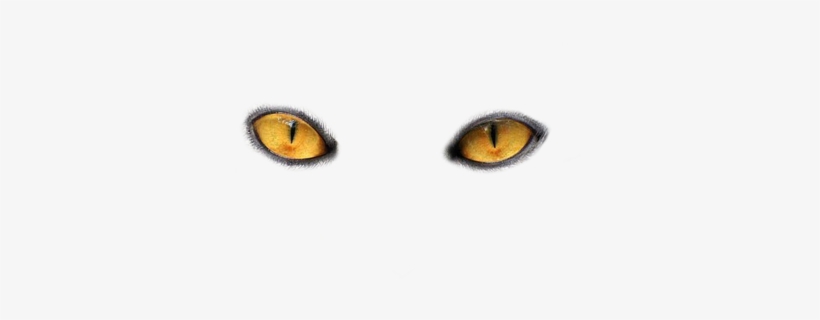 Eye Twelve - Cat Eyes No Background, transparent png