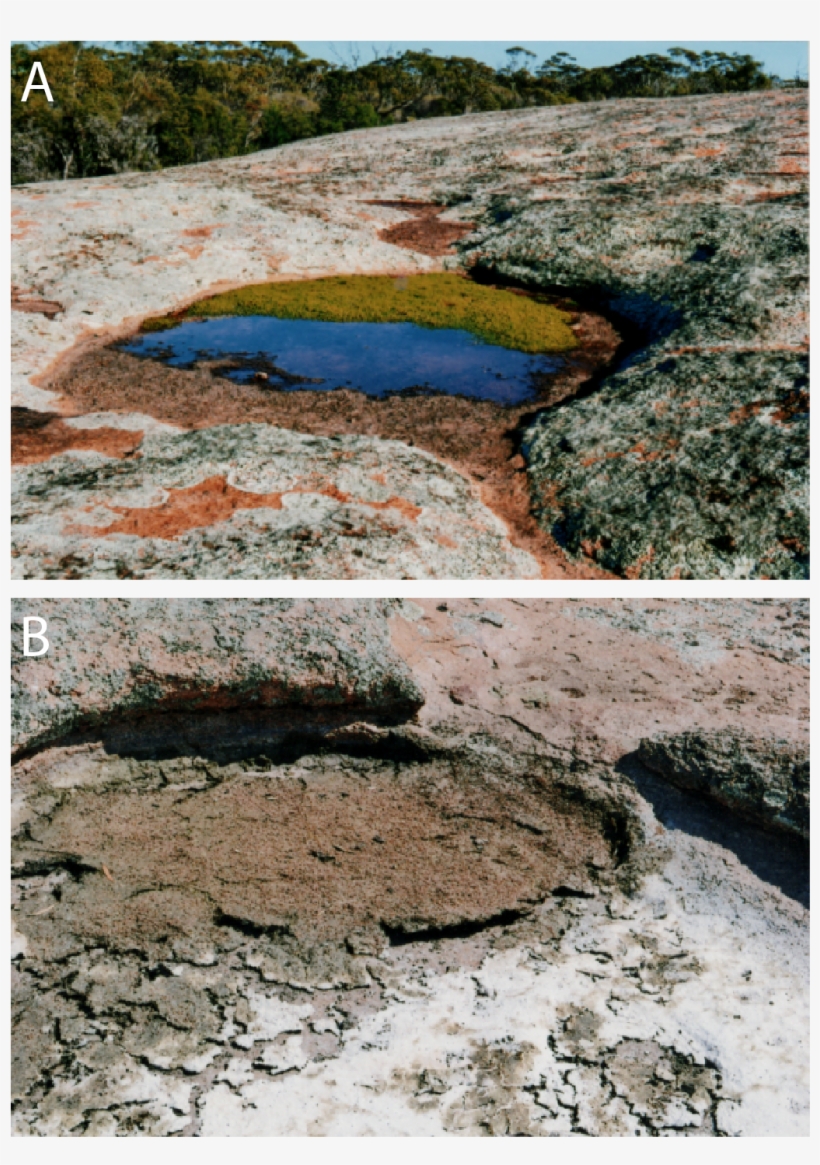 Url, Http - Football Pools, transparent png