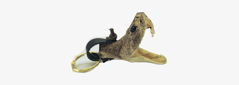 Keychain, transparent png