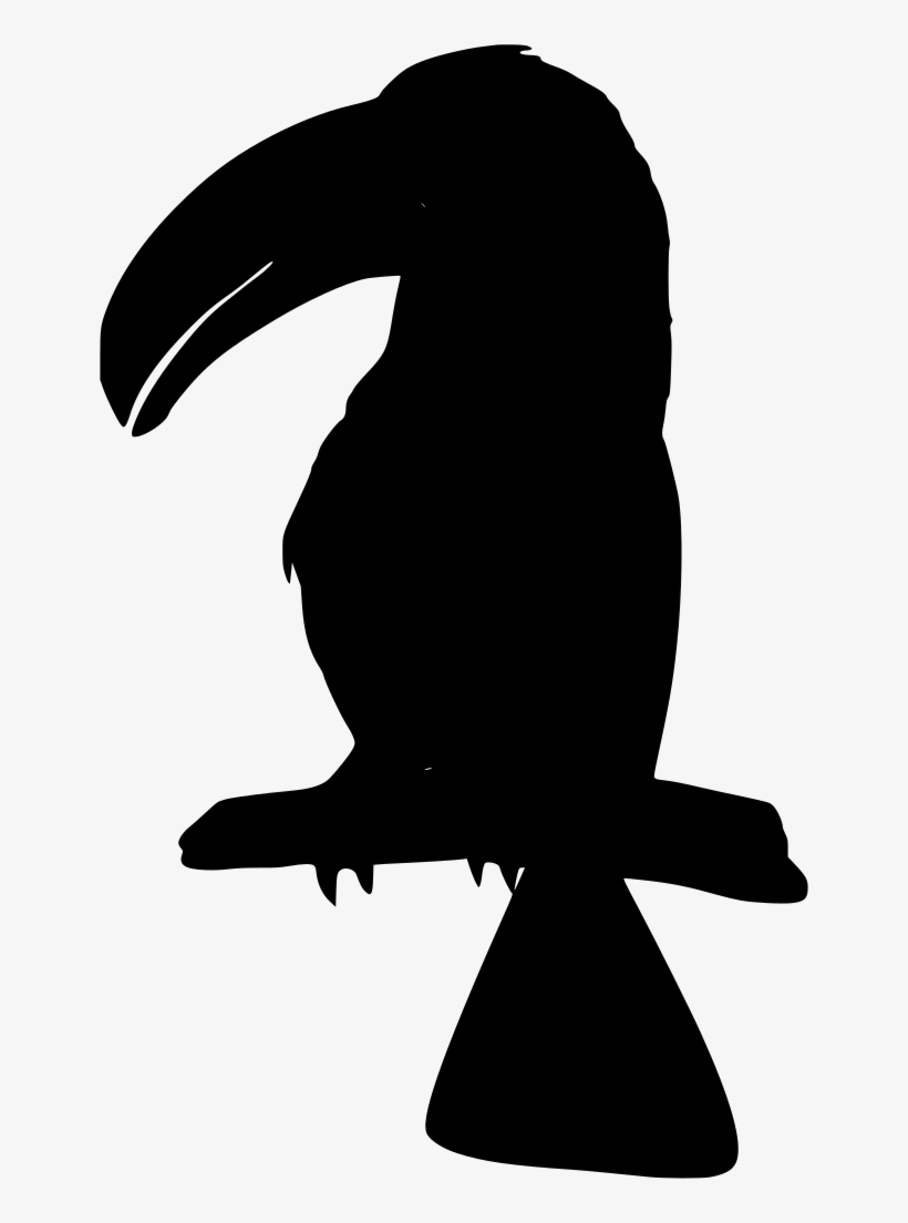 Download Png - Toucan, transparent png