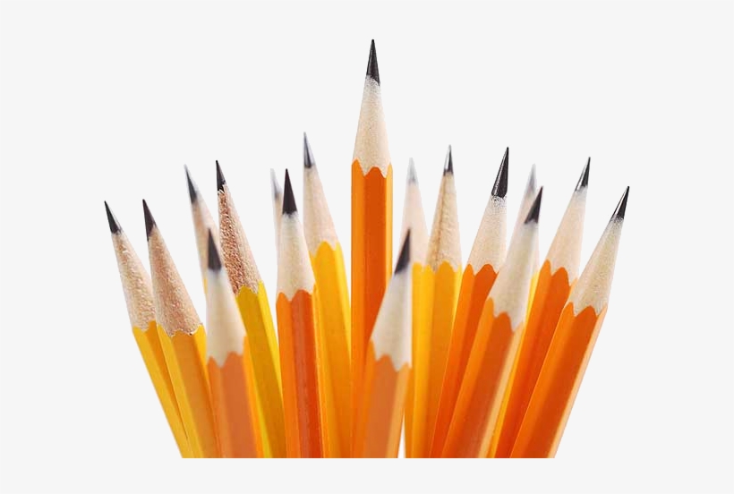 Trivia - Wooden Pencils, transparent png