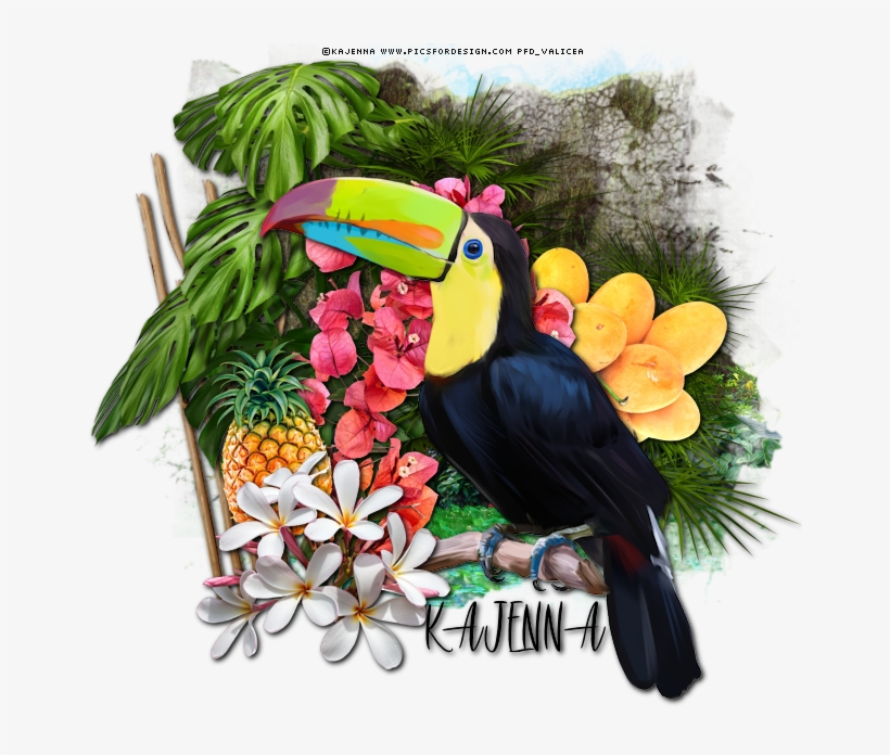 Sushi And Toucan With Free Snags - Sushi, transparent png