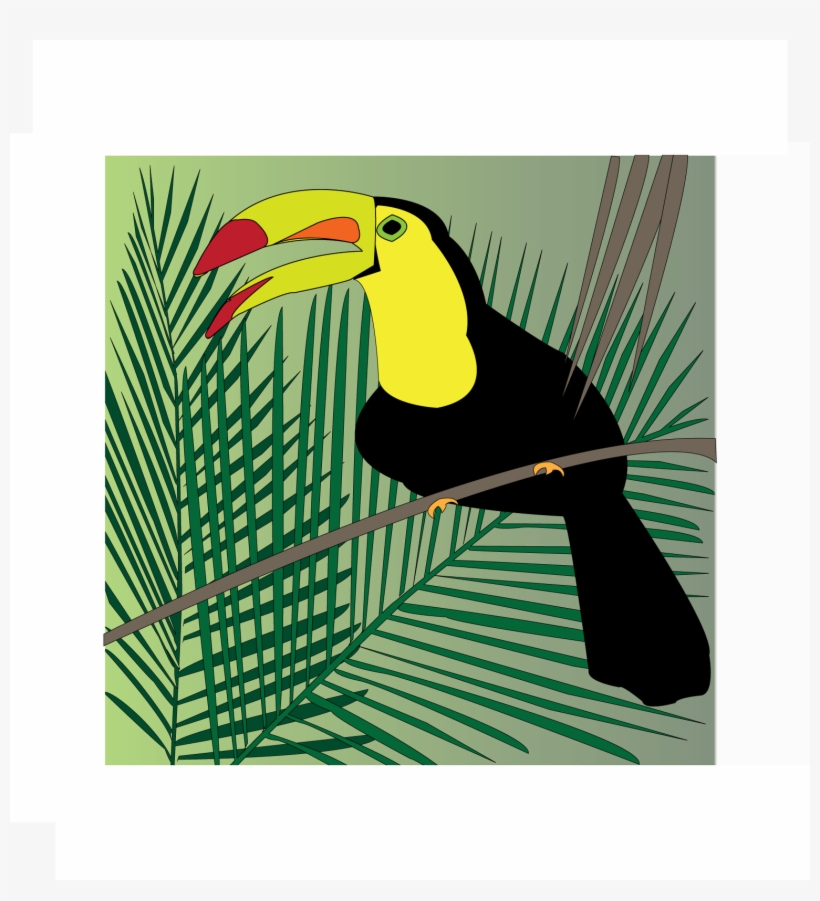 Toucan With Misplaced Foot, Apparently - Portable Network Graphics, transparent png