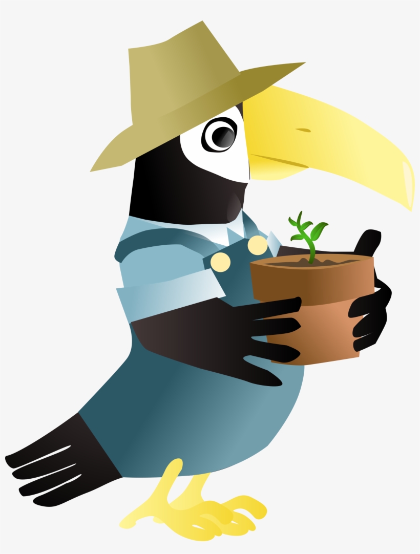 This Free Icons Png Design Of Toucan In The Garden, transparent png