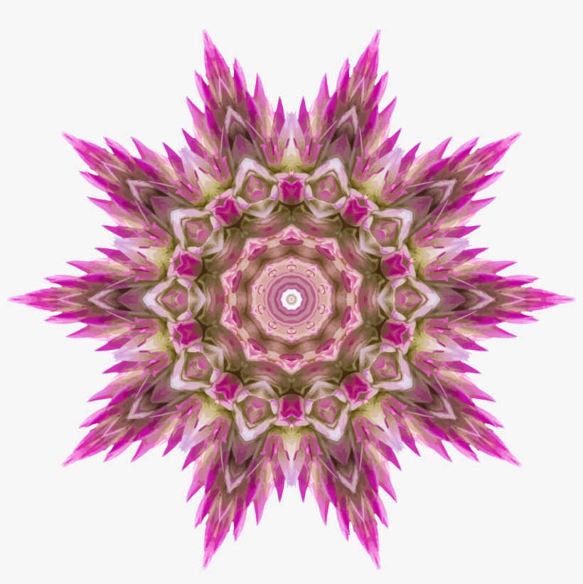 This Free Icons Png Design Of Wildflower Kaleidoscope, transparent png
