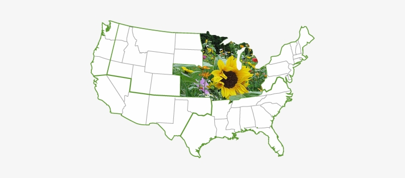 United States Of America, transparent png
