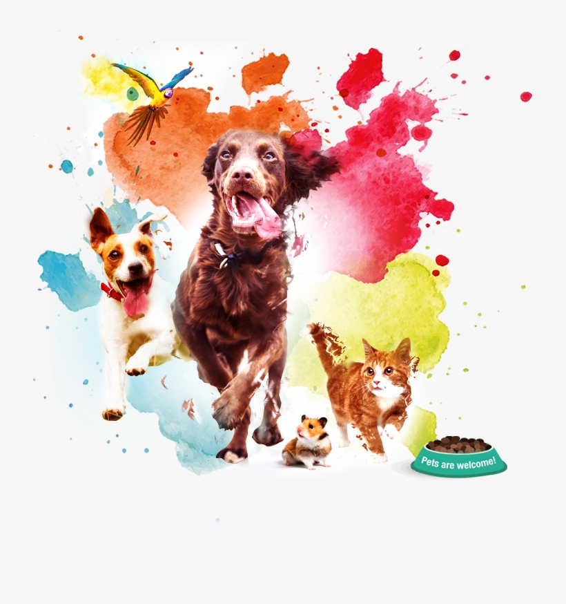 Sign Up For Event News And Updates - Pet Events, transparent png