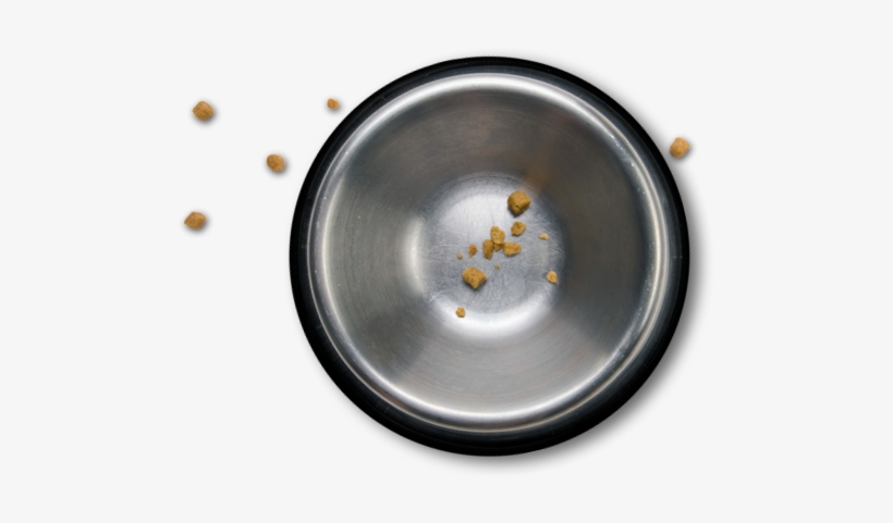 Dog Bowl Png - Portable Network Graphics, transparent png