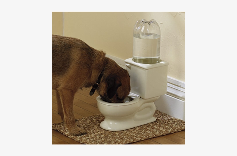 Dog Toilet Water Bowl - Toilet, transparent png