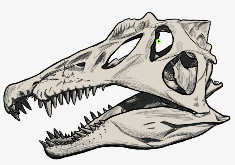 Inktober Catch - Spinosaurus, transparent png