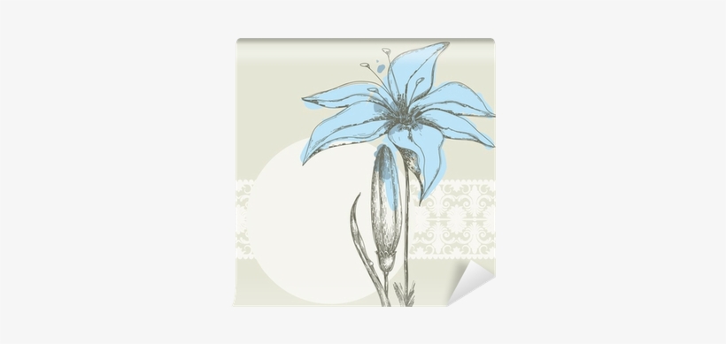 Pastel Floral Background, White Lace Frame For Text - Luxury Feelings Ep - Funkware - Download, transparent png