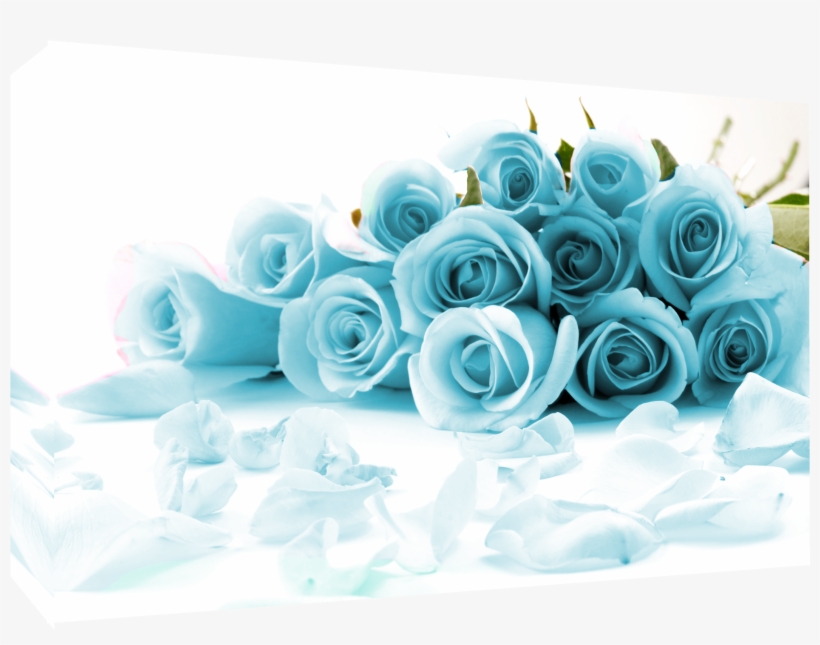 Item Specifics - Get Well Soon Pink Roses, transparent png