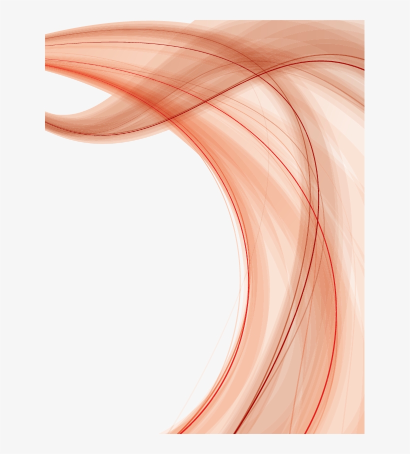Vector Library Curve Euclidean Line Geometric Lines - Curved Colour Vector Background, transparent png