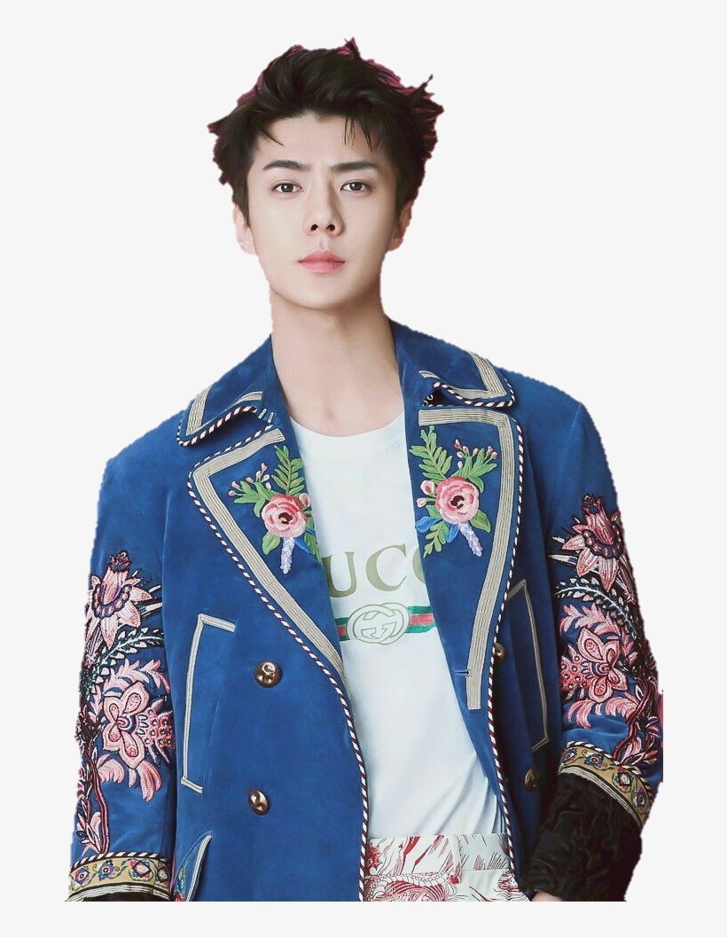 Report Abuse - Sehun, transparent png