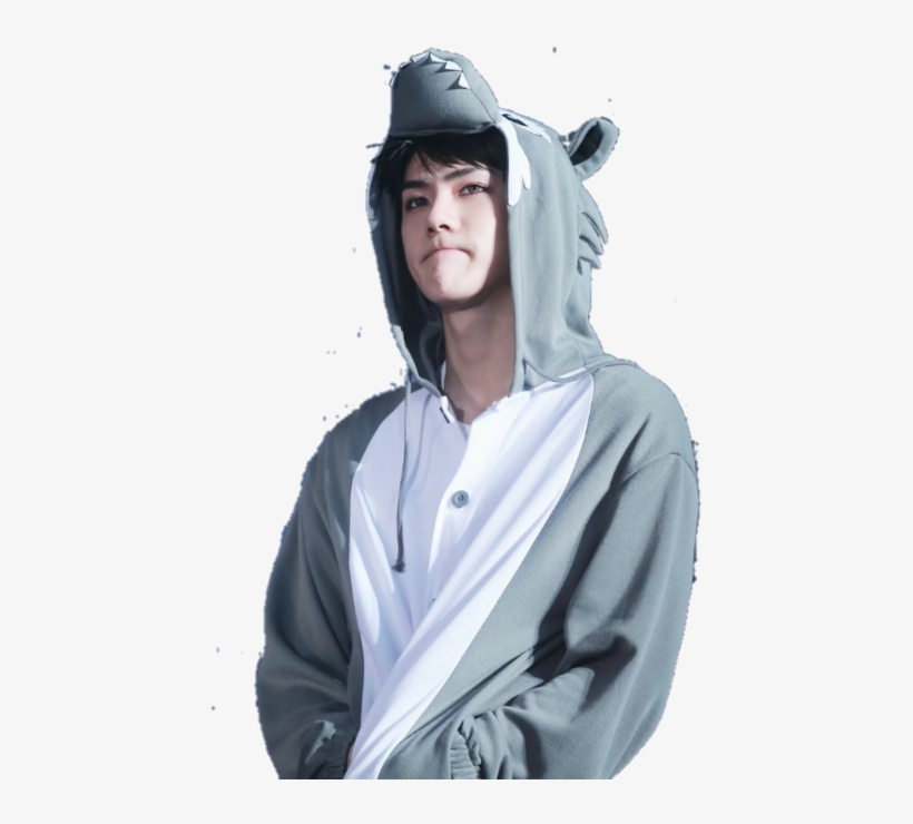 Exo, Sehun, And Kpop Image - Exo In Animal Costumes, transparent png