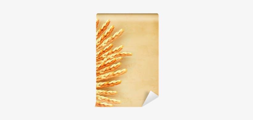 Ears Of Wheat On Old Paper Background - Old Paper Background, transparent png