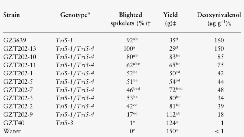 Disease Ratings, Yield Loss And Deoxynivalenol Content - Wheat, transparent png
