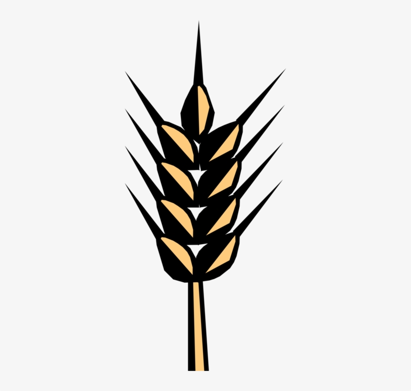 Vector Illustration Of Wheat Grain Of Cereal Grass - Statute, transparent png