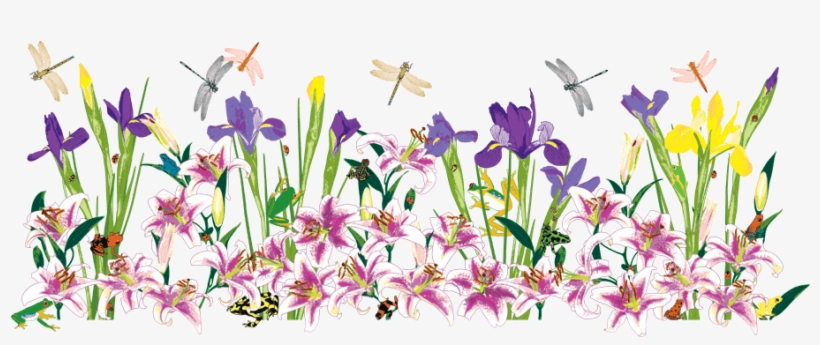 I Am Trying To Make This Process More Available To - Colorful Design Border Png, transparent png