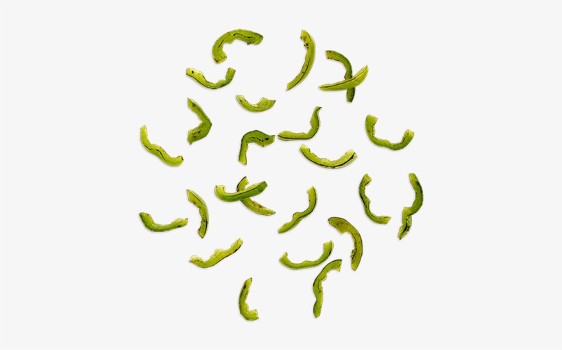 Cart - Pizza Green Pepper Png, transparent png