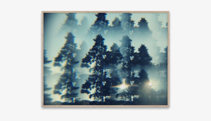Paper Collective The Woods Poster 40 X 30 Cm., transparent png