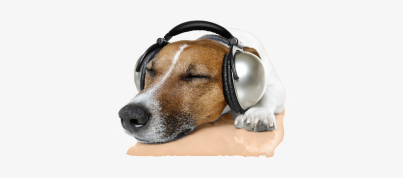 soundproof headphones for dogs