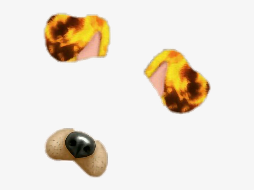 Dog Ear Png - Dog Ear And Nose Png Transparent, transparent png