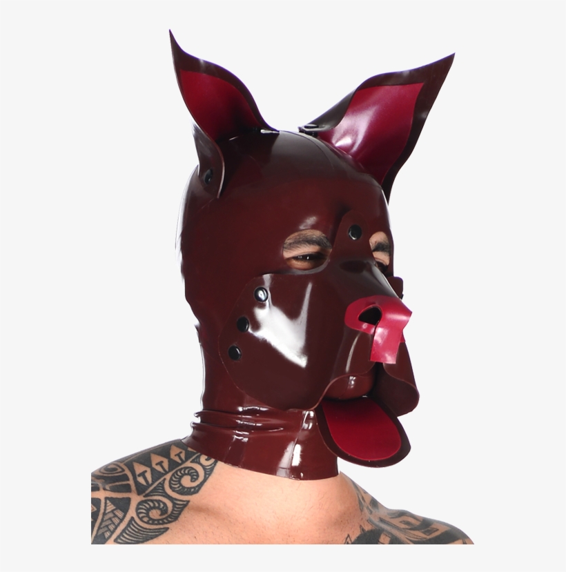 Dog, transparent png