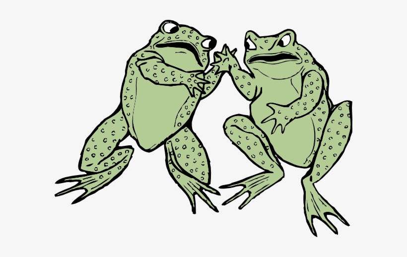 Green Frog Clipart Two Frog - Two Frog Clipart, transparent png